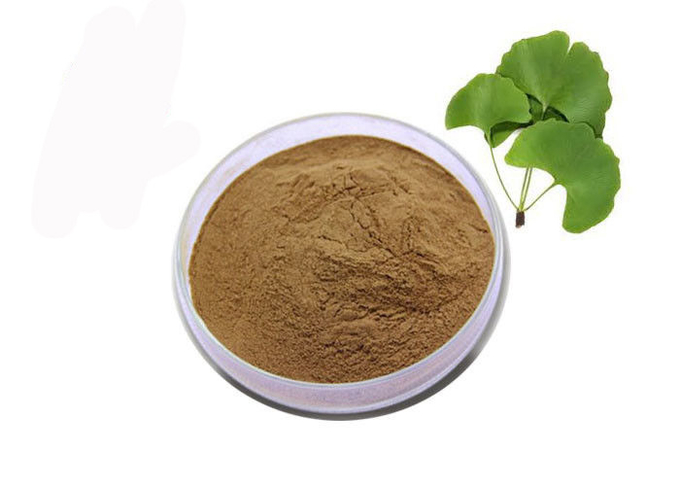 Polvere nutrizionale dell'estratto della foglia del ginkgo biloba di Brown del commestibile 0