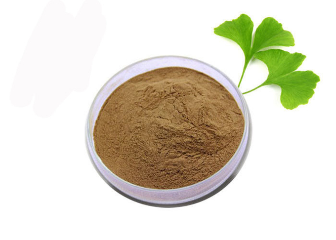 Polvere pura dell'estratto del ginkgo biloba dell'anti ossidante del grado medico 0