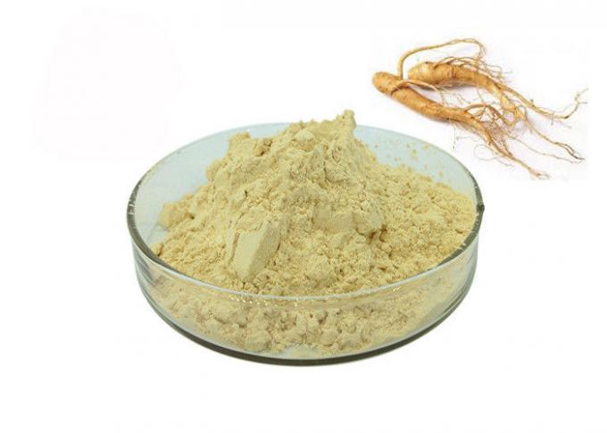 Polvere giallo-chiaro antinvecchiamento dell'estratto del ginseng di ginsenosidi di 30% 0