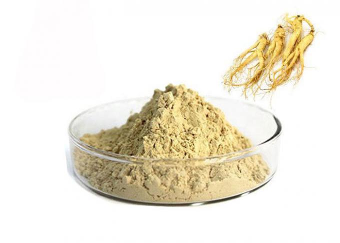 Polvere naturale dell'estratto del ginseng della radice farmaceutica di 80% Panax 0