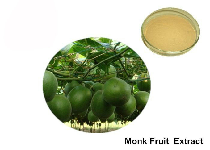 Polvere naturale del dolcificante della frutta organica del monaco di 40% Mogroside 0