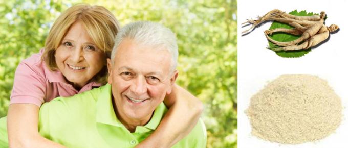 Sanità che migliora la polvere immune dell'estratto del ginseng della radice 0